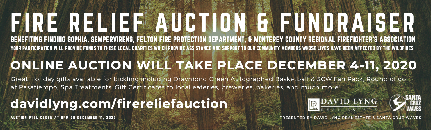 FIRE RELIEF AUCTION - SENTINEL - 9.889X3